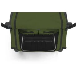 Thule Remorque De Vélo Chariot Cab 2 Cypress Green -Lilliputiens Soldes chariot cab 2 cypres green thule OE